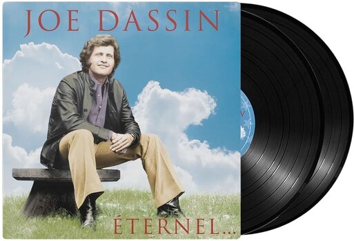 Schallplatte Joe Dassin - Joe Dassin Eternel... (Reissue) (2 LP) - 2