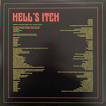 Hanglemez King Gizzard & The Lizard Wizard - Ice, Death, Planets, Lungs, Mushroom And Lava (2 LP) - 9
