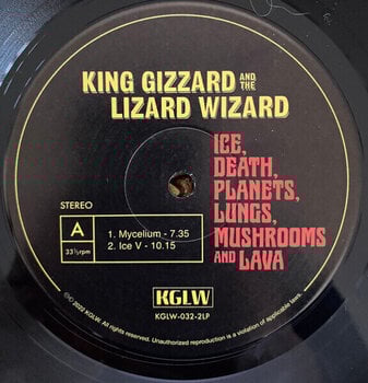 Hanglemez King Gizzard & The Lizard Wizard - Ice, Death, Planets, Lungs, Mushroom And Lava (2 LP) - 4