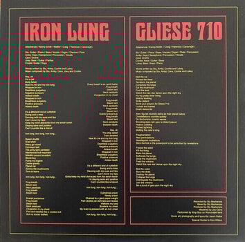 Hanglemez King Gizzard & The Lizard Wizard - Ice, Death, Planets, Lungs, Mushroom And Lava (2 LP) - 10
