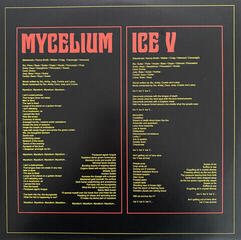 Disco de vinil King Gizzard & The Lizard Wizard - Ice, Death, Planets, Lungs, Mushroom And Lava (2 LP) - 7