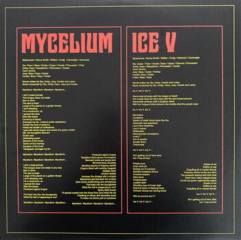Hanglemez King Gizzard & The Lizard Wizard - Ice, Death, Planets, Lungs, Mushroom And Lava (2 LP) - 8