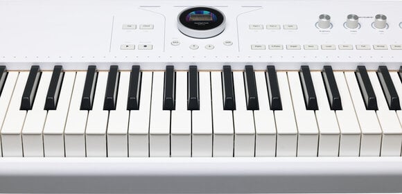 Zenei munkaállomás Arturia AstroLab 88 Zenei munkaállomás - 8