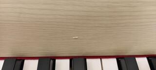 Дигитално пиано Korg G1B AIR Дигитално пиано White Ash (Повреден) - 2