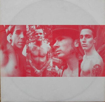 LP ploča Red Hot Chili Peppers - Blood Sugar Sex Magik (2 LP) - 9