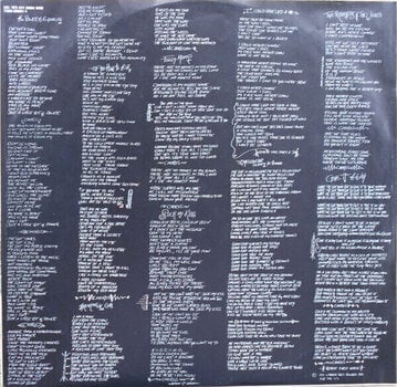 LP ploča Red Hot Chili Peppers - Blood Sugar Sex Magik (2 LP) - 10