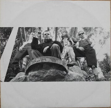 LP ploča Red Hot Chili Peppers - Blood Sugar Sex Magik (2 LP) - 11