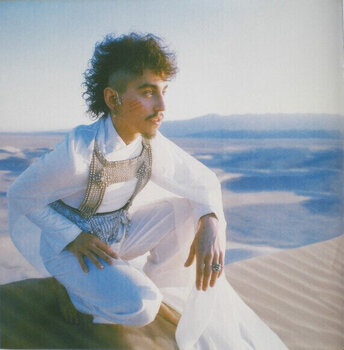 Vinylskiva Greta Van Fleet - Starchatcher (Clear Coloured) (LP) - 11