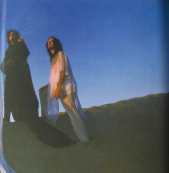 Vinylskiva Greta Van Fleet - Starchatcher (Clear Coloured) (LP) - 16