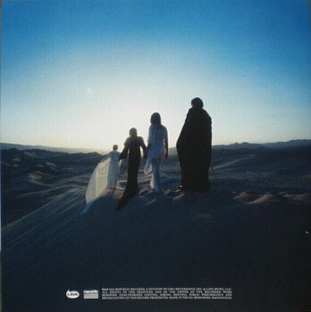 Vinylskiva Greta Van Fleet - Starchatcher (Clear Coloured) (LP) - 19