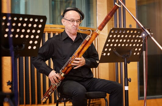 Библиотека със звукови ефекти Spitfire Audio Spitfire Studio Woodwinds Professional (Дигитален продукт) - 3