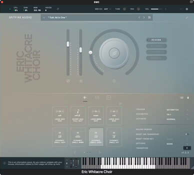 Hangkönyvtár Spitfire Audio Eric Whitacre Choir (Digitális termék) - 2