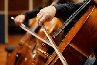 Biblioteca de samples e sons Spitfire Audio Spitfire Chamber Strings (Produto digital) - 2