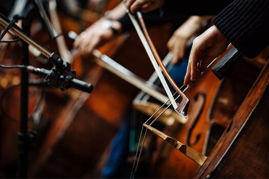 Hangkönyvtár Spitfire Audio Spitfire Appassionata Strings (Digitális termék) - 3