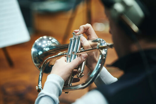 Библиотека със звукови ефекти Spitfire Audio Albion NEO (Дигитален продукт) - 5