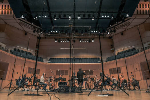 Sample i instrumenty wirtualne Spitfire Audio Albion Colossus (Produkt cyfrowy) - 2