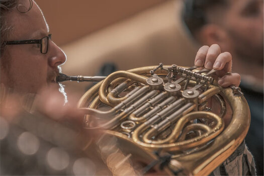 Sample i instrumenty wirtualne Spitfire Audio Albion Colossus (Produkt cyfrowy) - 3