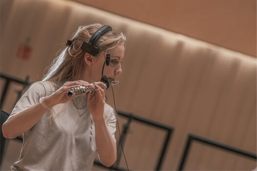 Sample i instrumenty wirtualne Spitfire Audio Albion Colossus (Produkt cyfrowy) - 6