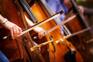 Sample/Sound Library Spitfire Audio Albion ONE (Digital product) - 1