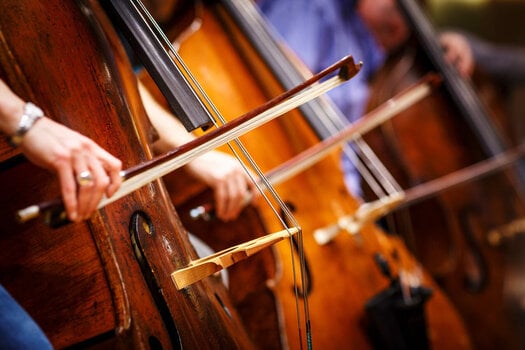 Audio biblioteka za sampler Spitfire Audio Albion ONE (Digitalni proizvod) - 2