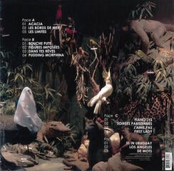 LP ploča Julien Doré - Ersatz (2 LP) - 2