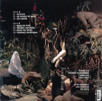 LP deska Julien Doré - Ersatz (2 LP) - 3