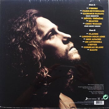 Schallplatte Julien Doré - Løve (LP) - 3