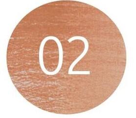 Crayon pastel Bruynzeel Design Crayon pastel 02 Brown 1 pc - 1