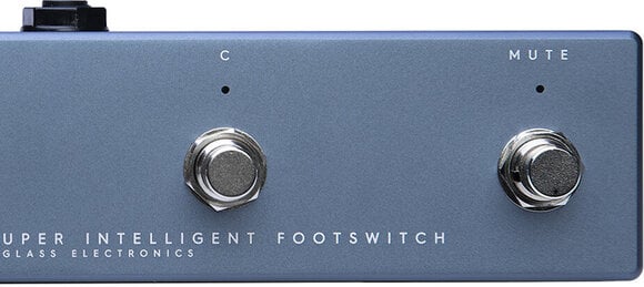 Pedaallüliti Darkglass Alpha Omega SI Footswitch - 4