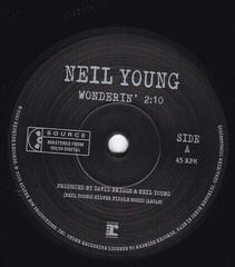 LP ploča Neil Young - After The Gold Rush (50th Anniversary) (Reissue) (LP + 7" Vinyl) - 5