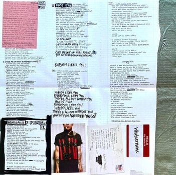 Vinyl Record Green Day - American Idiot (Red/White/Black Coloured) (2 LP) - 13