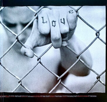 Vinyl Record Green Day - American Idiot (Red/White/Black Coloured) (2 LP) - 6