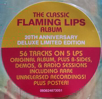 LP ploča The Flaming Lips - Yoshimi Battles The Pink Robot (Deluxe Edition) (5 LP) - 4