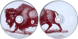 Music CD Foo Fighters - In Your Honor (2 CD) - 1