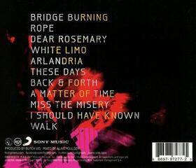 Music CD Foo Fighters - Wasting Light (CD) - 1