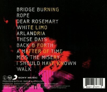 Glazbene CD Foo Fighters - Wasting Light (CD) - 2