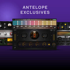 Virtuális effekt Antelope Audio Synergy Core Native 1-Year (Digitális termék) - 2