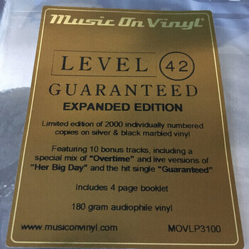 Грамофонна плоча Level 42 - Guaranteed (Limited Edition) (Silver & Black Marbled Coloured) (180 g) (2 LP) - 3