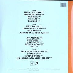 Schallplatte Vampire Weekend - Father Of the Bridge (Gatefold) (2 LP) - 2