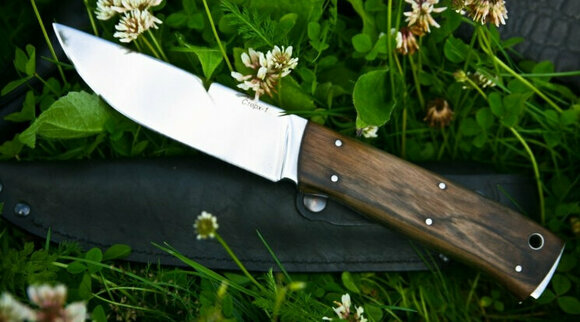 Turistični nož Kizlyar Sterkh 1 Wood - 2