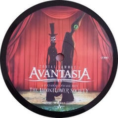 Disc de vinil Avantasia - A Paranormal Evening With The Moonflower Society (2 LP) - 4