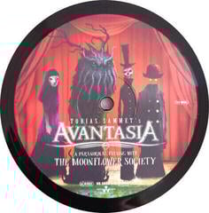 Disc de vinil Avantasia - A Paranormal Evening With The Moonflower Society (2 LP) - 6