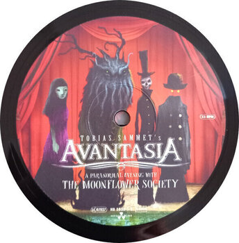 LP ploča Avantasia - A Paranormal Evening With The Moonflower Society (2 LP) - 7