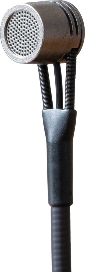 Caracteristică direcțională