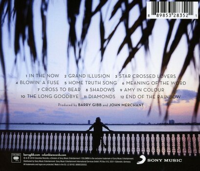 Muzyczne CD Barry Gibb - In The Now (CD) - 3