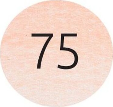 Pastelpotlood Bruynzeel Design Pastel Pastelpotlood 75 Titanium Buff 1 st. - 2