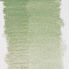 Pastellpliiats Bruynzeel Design Pastel Pastellpliiats 96 Sap Green 1 tk - 1