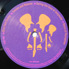 Disco de vinil Joe Satriani - The Elephants Of Mars (2 LP) - 6