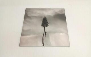 Schallplatte Manchester Orchestra - Black Mile To The Surface (2 LP) (Nur ausgepackt) - 3