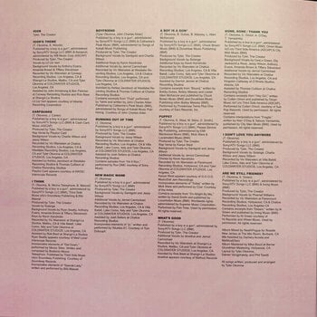 Vinylplate Tyler The Creator Igor (Vinyl LP) - 4